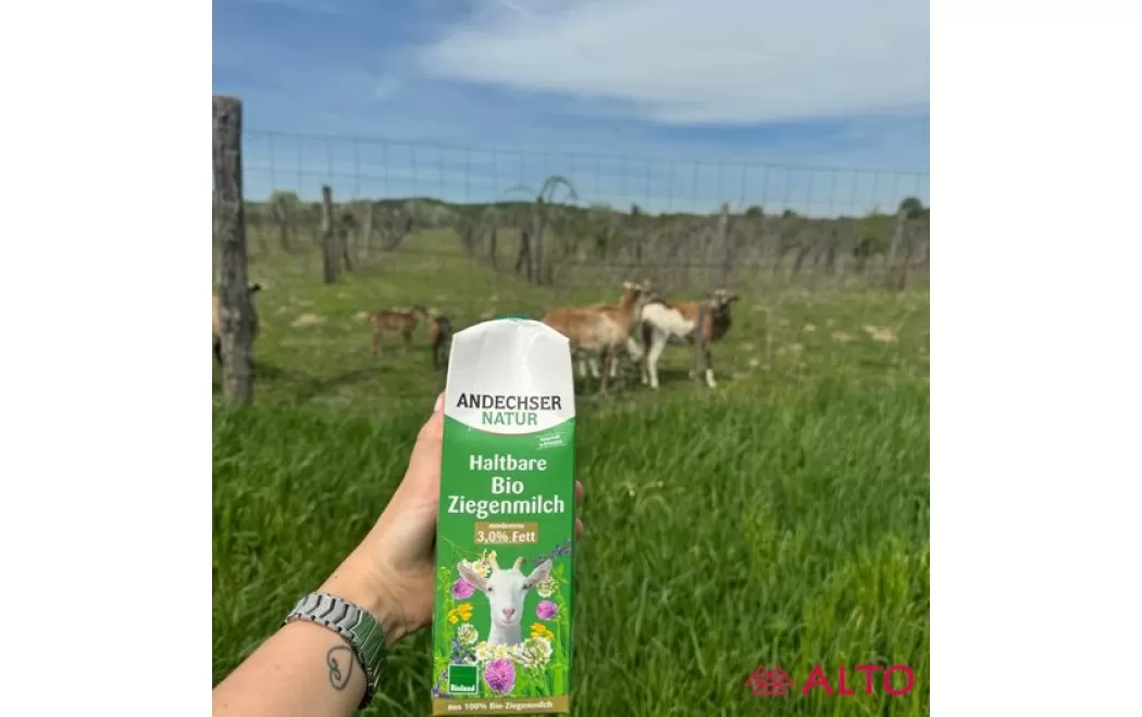Kecske és a tej 