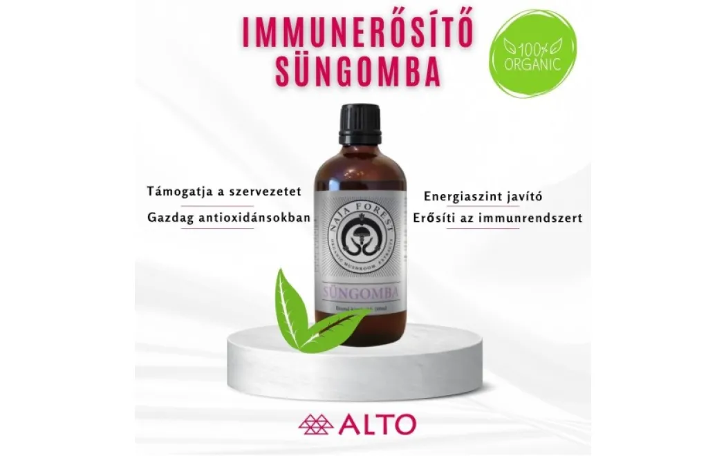 Fedezd fel a süngomba csodálatos hatásait az immunrendszeredre