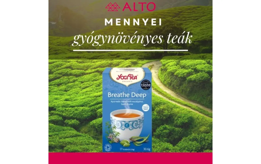 Gyógynövényes teák hideg estékre