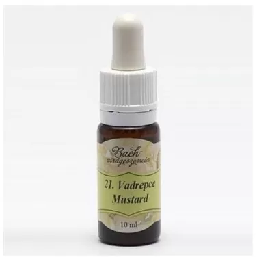 virágeszencia vadrepce 10 ml