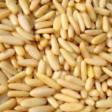 Bio fenyőmag 1kg