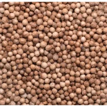 Bio koriander, egész, 500 g