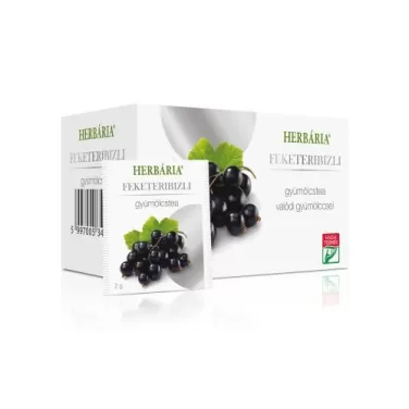 gyümölcstea feketeribizlis filteres 40g