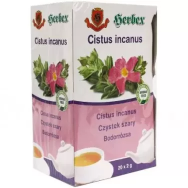 bodorrózsa tea 20x2g 40 g