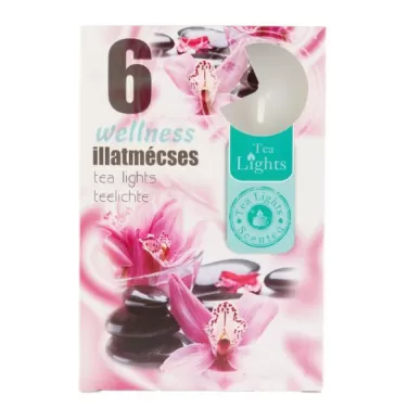 Illatos teamécses wellness 6 db-os 1 db