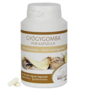 Családi GombaBomba 90 db