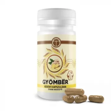 Tenmag gyömbér kapszula 60 db